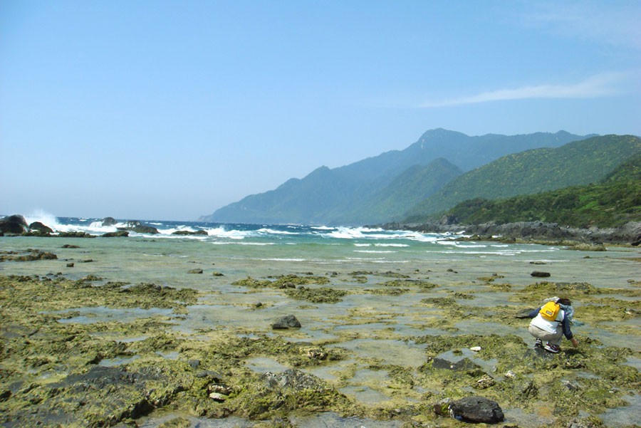 屋久島の海岸で貝採りをする田口ランディさん（写真提供：田渕睦深さん）