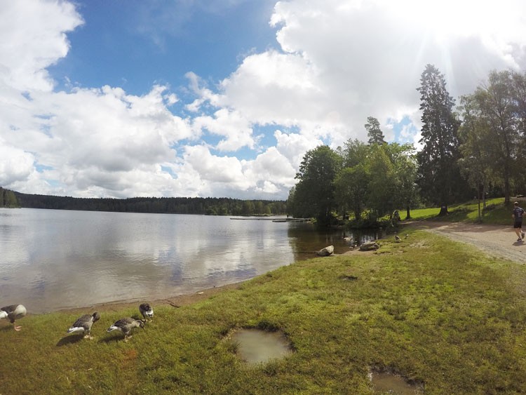 オスロから自転車で50分で行けるSognsvann湖