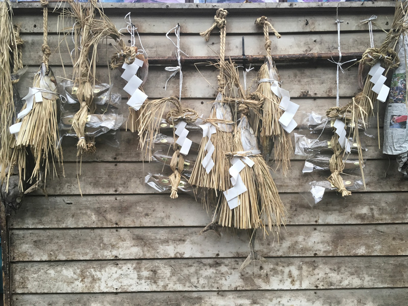 西伊豆の伝統食材のひとつ、潮カツオ。航海の安全と豊漁を願って藁の装飾を施したとか