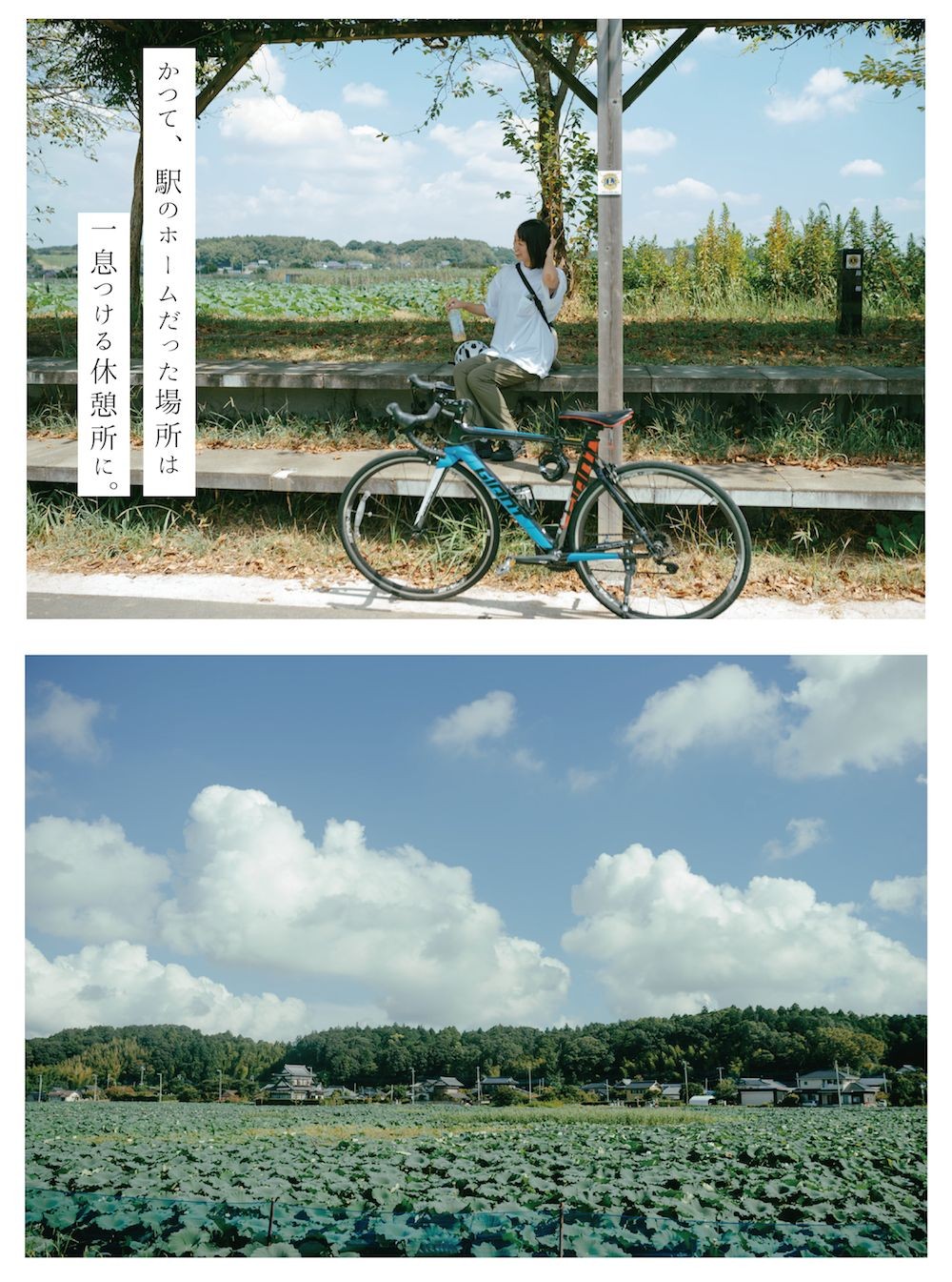 “自転車旅”でしか出会えない、茨城の絶景をめぐる。|「美しき、田舎景色を訪ねて。茨城自転車ものがたり。」の4枚目の画像