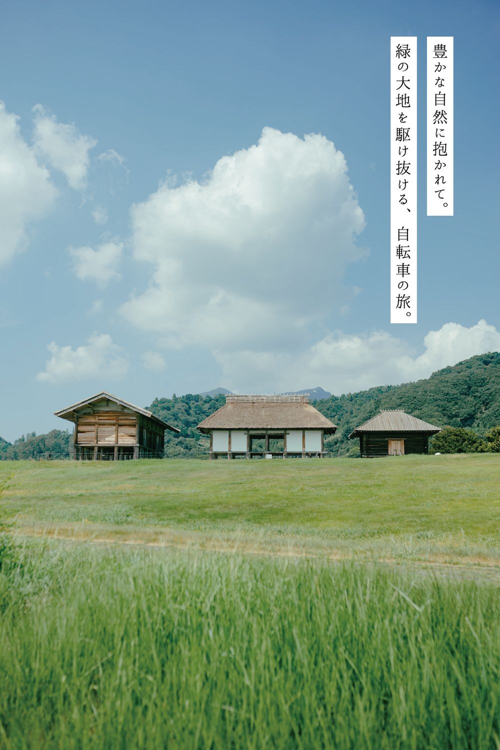 “自転車旅”でしか出会えない、茨城の絶景をめぐる。|「美しき、田舎景色を訪ねて。茨城自転車ものがたり。」の6枚目の画像