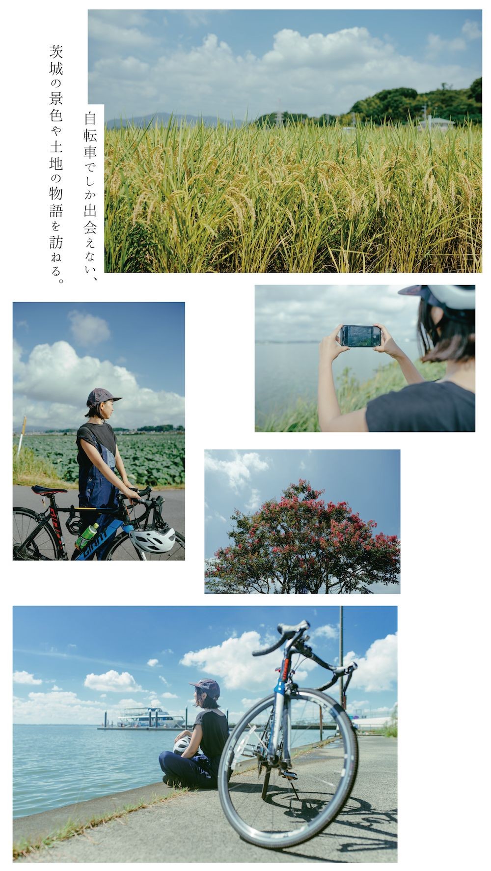 【CYCLING】ローカルな茨城の風を感じ、自転車で駆け抜けて|「美しき、田舎景色を訪ねて。茨城自転車ものがたり。」の8枚目の画像