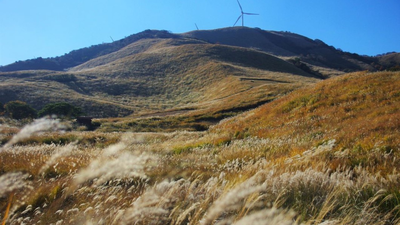 忘れがたいあの道を、もう一度｜#20 静岡県・三筋山、相模灘と天城山を
