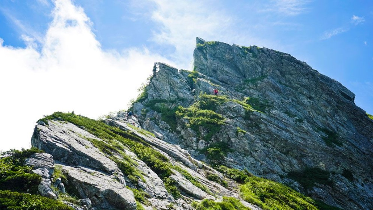 dd451bf4595c0eba2b35162bd52eea