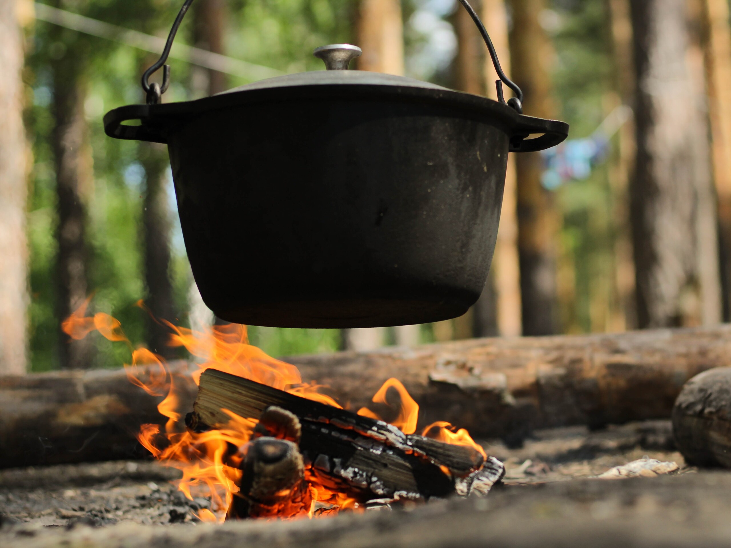 知らない人は人生損してる！ダッチオーブンで作るカレーの魅力