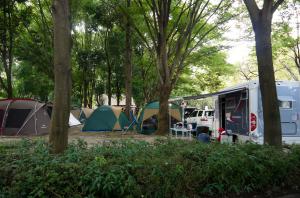 【桜川市】上野沼やすらぎの里キャンプ場
