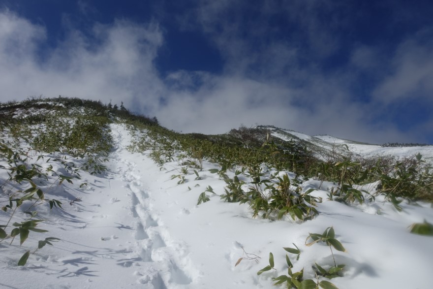 雪で埋まる木道を歩き山頂へ